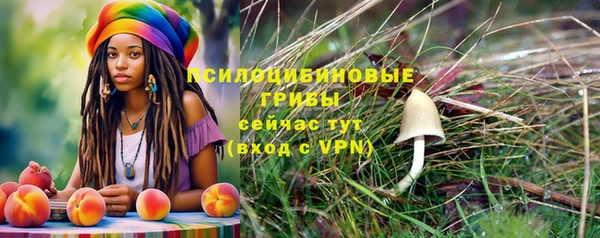 apvp Баксан