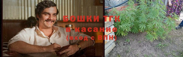 ешки Арсеньев